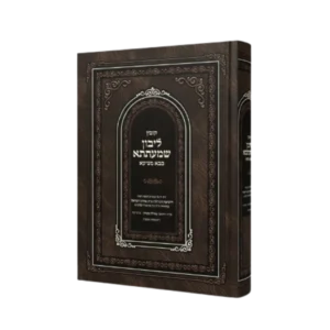 ליבון שמעתתא בבא מציעא חלק ג'